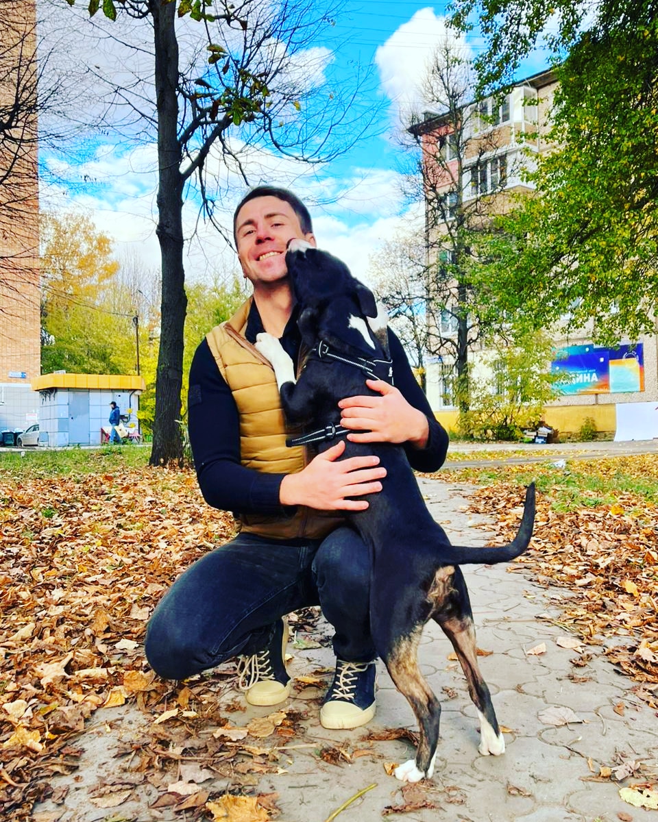 Дрессировка собак